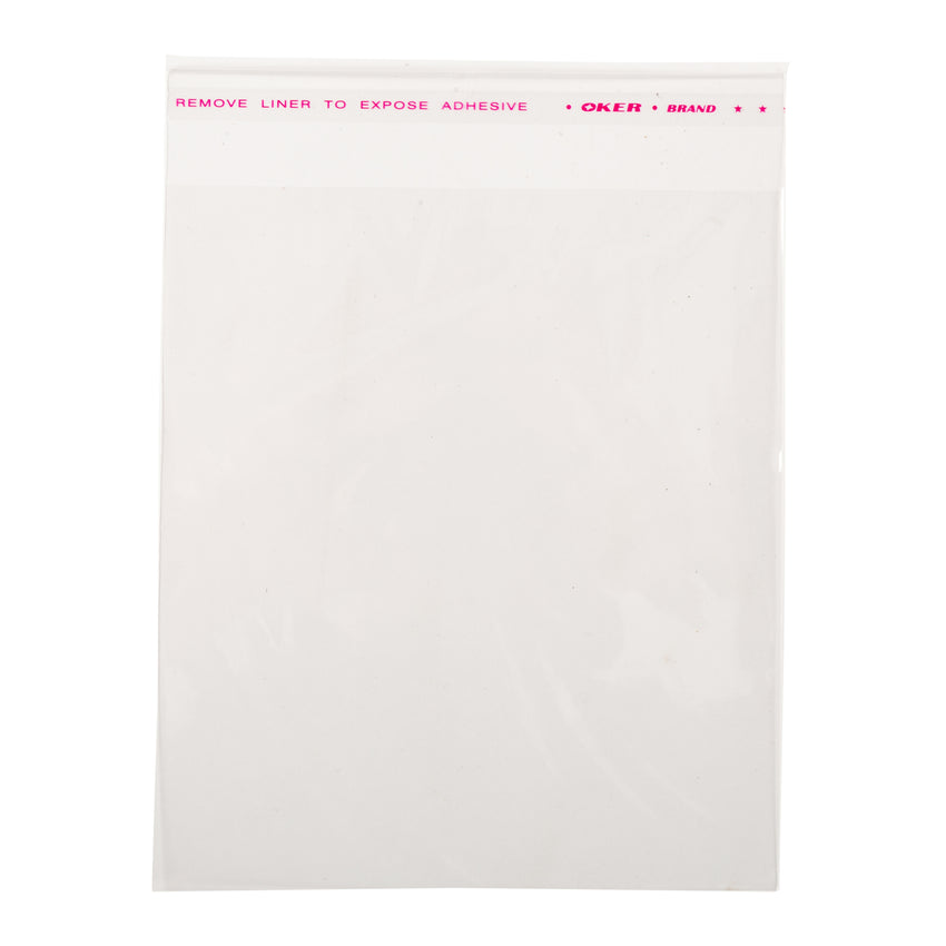 Bag Resealable Poly 6x6.75", Case 500x4